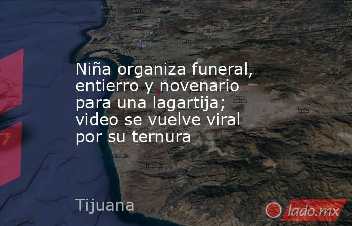Niña organiza funeral, entierro y novenario para una lagartija; video se vuelve viral por su ternura. Noticias en tiempo real