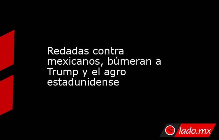 Redadas contra mexicanos, búmeran a Trump y el agro estadunidense. Noticias en tiempo real