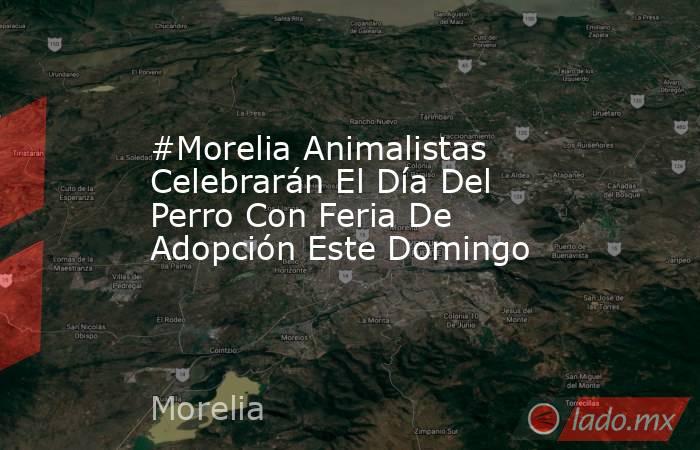 #Morelia Animalistas Celebrarán El Día Del Perro Con Feria De Adopción Este Domingo. Noticias en tiempo real