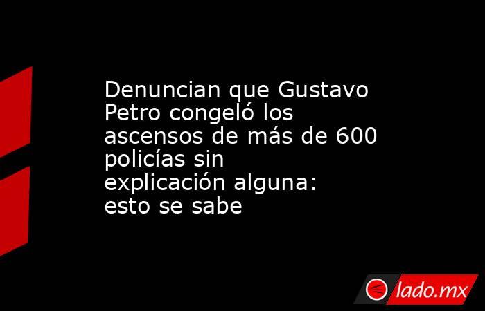 Denuncian que Gustavo Petro congeló los ascensos de más de 600 policías sin explicación alguna: esto se sabe. Noticias en tiempo real