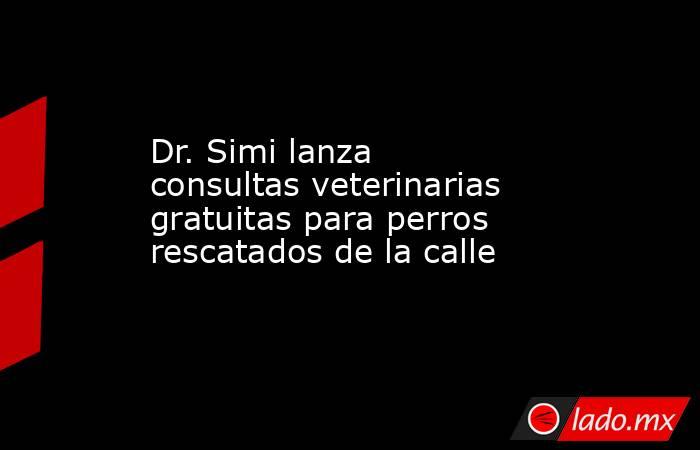 Dr. Simi lanza consultas veterinarias gratuitas para perros rescatados de la calle. Noticias en tiempo real