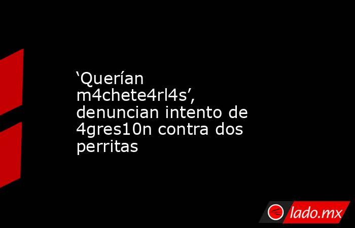 ‘Querían m4chete4rl4s’, denuncian intento de 4gres10n contra dos perritas. Noticias en tiempo real