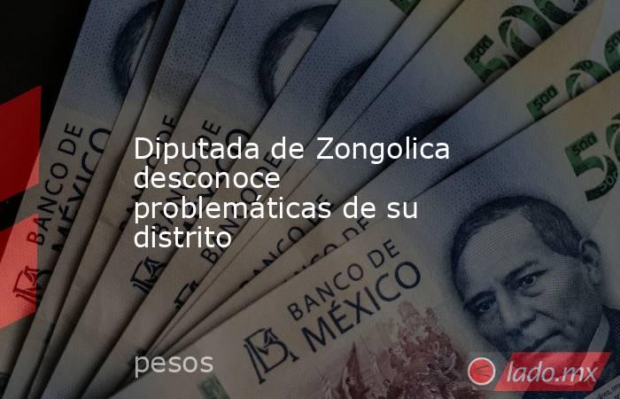Diputada de Zongolica desconoce problemáticas de su distrito. Noticias en tiempo real