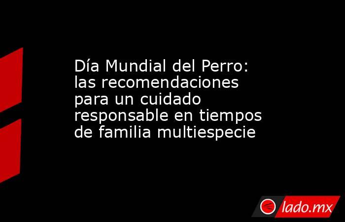 Día Mundial del Perro: las recomendaciones para un cuidado responsable en tiempos de familia multiespecie. Noticias en tiempo real