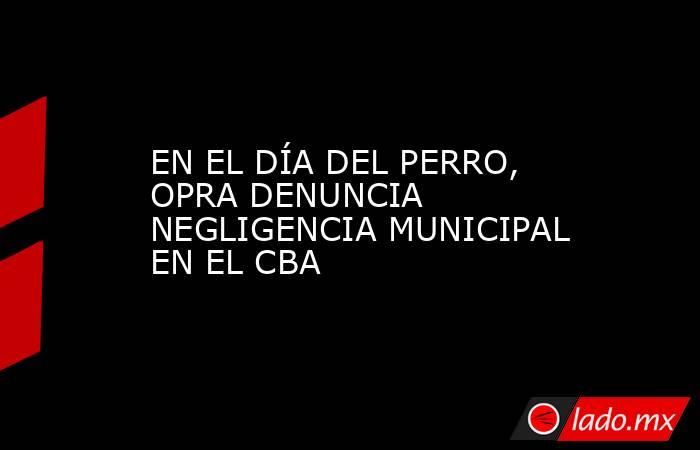 EN EL DÍA DEL PERRO, OPRA DENUNCIA NEGLIGENCIA MUNICIPAL EN EL CBA. Noticias en tiempo real