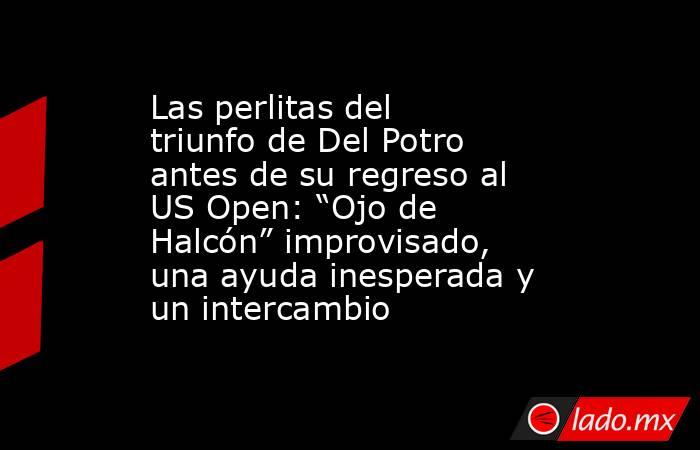 Las perlitas del triunfo de Del Potro antes de su regreso al US Open: “Ojo de Halcón” improvisado, una ayuda inesperada y un intercambio. Noticias en tiempo real