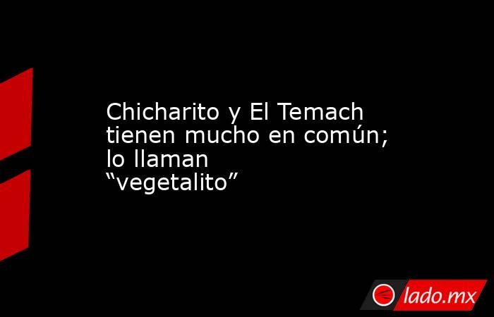 Chicharito y El Temach tienen mucho en común; lo llaman “vegetalito”. Noticias en tiempo real