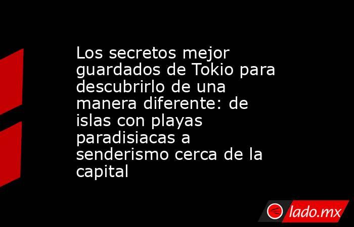 Los secretos mejor guardados de Tokio para descubrirlo de una manera diferente: de islas con playas paradisiacas a senderismo cerca de la capital. Noticias en tiempo real