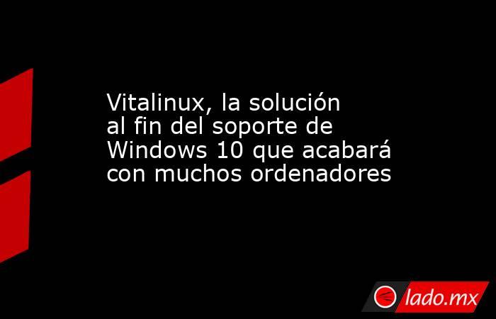 Vitalinux, la solución al fin del soporte de Windows 10 que acabará con muchos ordenadores. Noticias en tiempo real