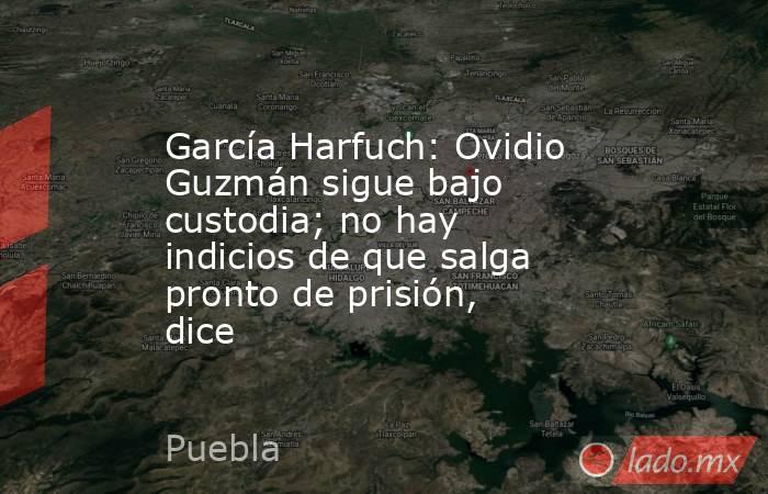 García Harfuch: Ovidio Guzmán sigue bajo custodia; no hay indicios de que salga pronto de prisión, dice. Noticias en tiempo real