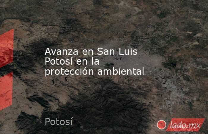 Avanza en San Luis Potosí en la protección ambiental. Noticias en tiempo real