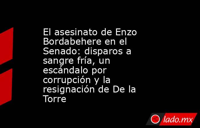 El asesinato de Enzo Bordabehere en el Senado: disparos a sangre fría, un escándalo por corrupción y la resignación de De la Torre. Noticias en tiempo real