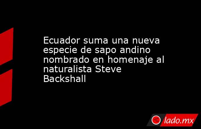 Ecuador suma una nueva especie de sapo andino nombrado en homenaje al naturalista Steve Backshall. Noticias en tiempo real