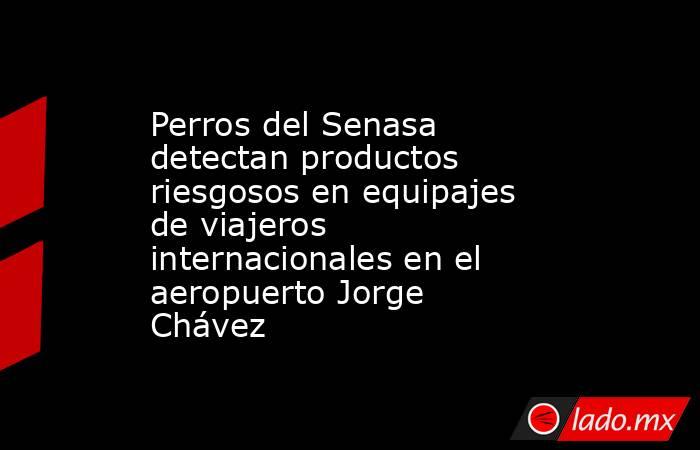 Perros del Senasa detectan productos riesgosos en equipajes de viajeros internacionales en el aeropuerto Jorge Chávez. Noticias en tiempo real