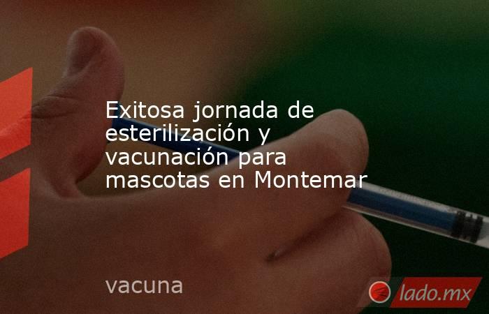 Exitosa jornada de esterilización y vacunación para mascotas en Montemar. Noticias en tiempo real