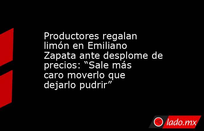 Productores regalan limón en Emiliano Zapata ante desplome de precios: “Sale más caro moverlo que dejarlo pudrir”. Noticias en tiempo real