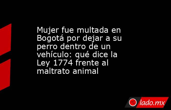 Mujer fue multada en Bogotá por dejar a su perro dentro de un vehículo: qué dice la Ley 1774 frente al maltrato animal. Noticias en tiempo real