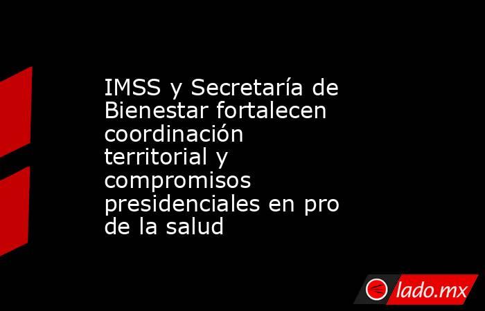 IMSS y Secretaría de Bienestar fortalecen coordinación territorial y compromisos presidenciales en pro de la salud. Noticias en tiempo real