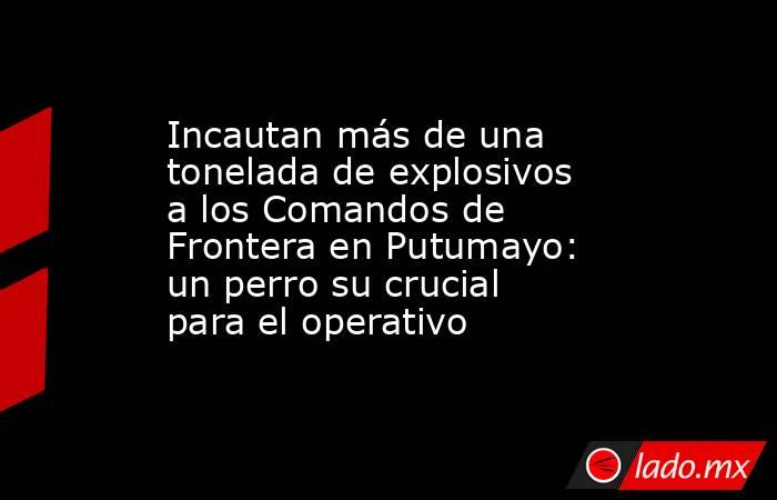 Incautan más de una tonelada de explosivos a los Comandos de Frontera en Putumayo: un perro su crucial para el operativo . Noticias en tiempo real
