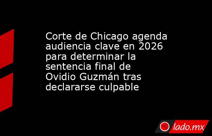 Corte de Chicago agenda audiencia clave en 2026 para determinar la sentencia final de Ovidio Guzmán tras declararse culpable. Noticias en tiempo real