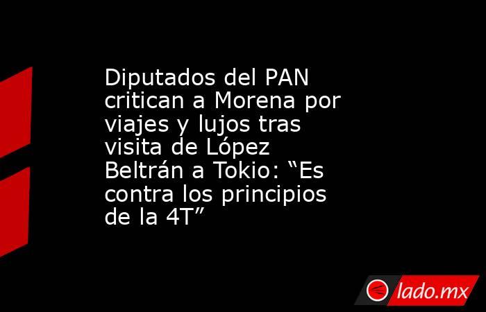 Diputados del PAN critican a Morena por viajes y lujos tras visita de López Beltrán a Tokio: “Es contra los principios de la 4T” . Noticias en tiempo real