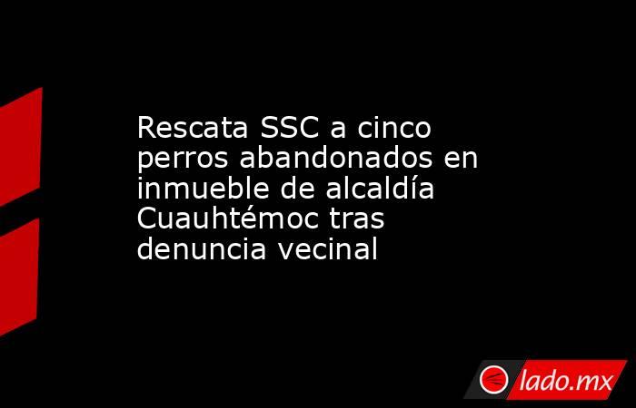 Rescata SSC a cinco perros abandonados en inmueble de alcaldía Cuauhtémoc tras denuncia vecinal. Noticias en tiempo real