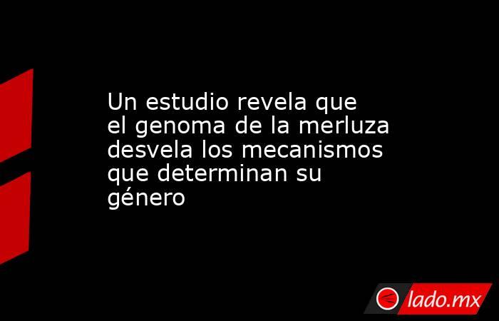 Un estudio revela que el genoma de la merluza desvela los mecanismos que determinan su género. Noticias en tiempo real