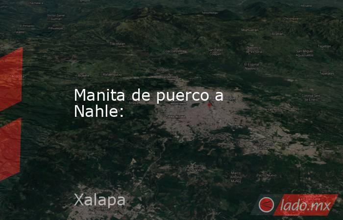 Manita de puerco a Nahle:. Noticias en tiempo real