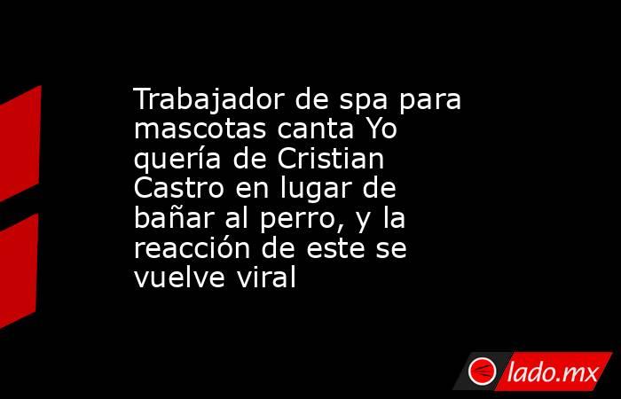 Trabajador de spa para mascotas canta Yo quería de Cristian Castro en lugar de bañar al perro, y la reacción de este se vuelve viral. Noticias en tiempo real