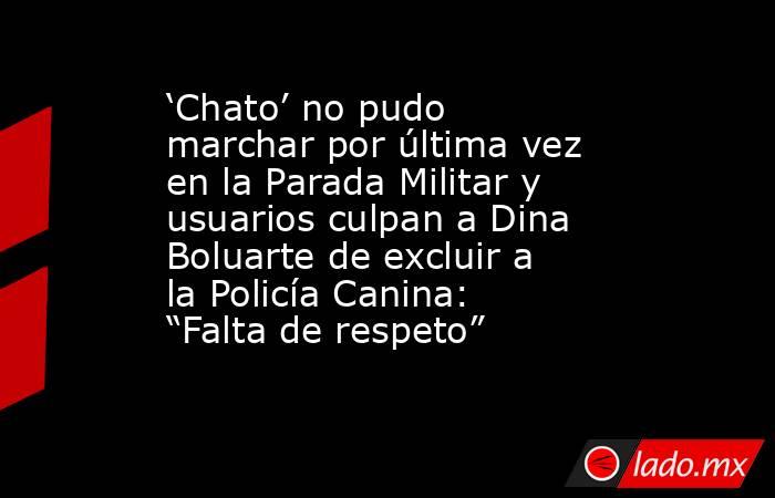 ‘Chato’ no pudo marchar por última vez en la Parada Militar y usuarios culpan a Dina Boluarte de excluir a la Policía Canina: “Falta de respeto”. Noticias en tiempo real