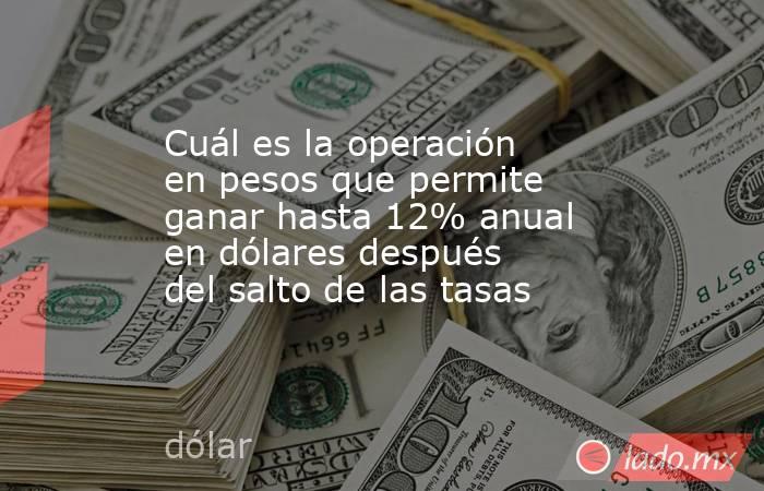 Cuál es la operación en pesos que permite ganar hasta 12% anual en dólares después del salto de las tasas. Noticias en tiempo real
