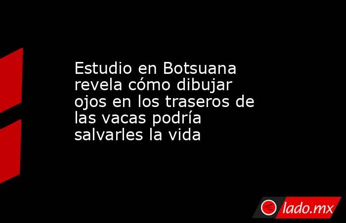 Estudio en Botsuana revela cómo dibujar ojos en los traseros de las vacas podría salvarles la vida . Noticias en tiempo real