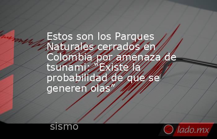 Estos son los Parques Naturales cerrados en Colombia por amenaza de tsunami: “Existe la probabilidad de que se generen olas”. Noticias en tiempo real