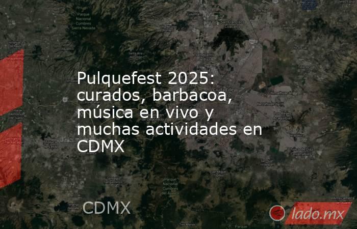 Pulquefest 2025: curados, barbacoa, música en vivo y muchas actividades en CDMX. Noticias en tiempo real