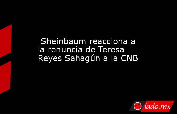  Sheinbaum reacciona a la renuncia de Teresa Reyes Sahagún a la CNB. Noticias en tiempo real
