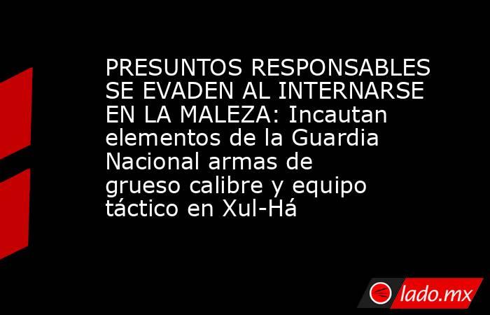 PRESUNTOS RESPONSABLES SE EVADEN AL INTERNARSE EN LA MALEZA: Incautan elementos de la Guardia Nacional armas de grueso calibre y equipo táctico en Xul-Há. Noticias en tiempo real
