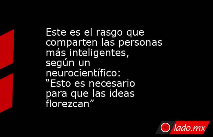 Este es el rasgo que comparten las personas más inteligentes, según un neurocientífico: “Esto es necesario para que las ideas florezcan”. Noticias en tiempo real