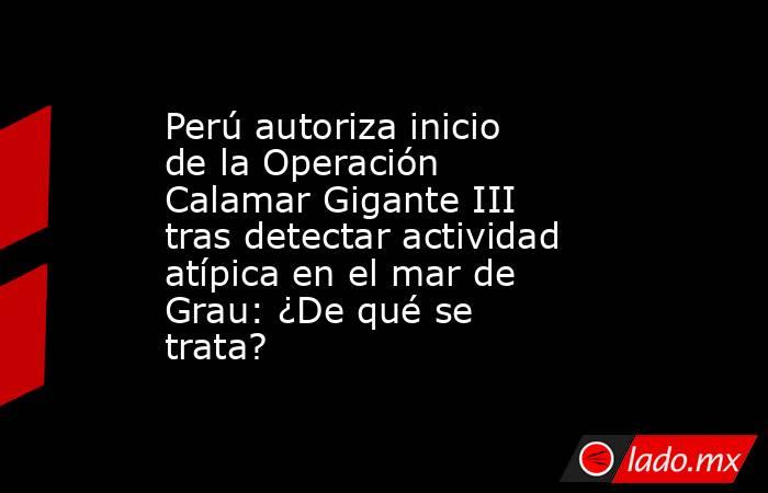 Perú autoriza inicio de la Operación Calamar Gigante III tras detectar actividad atípica en el mar de Grau: ¿De qué se trata?. Noticias en tiempo real