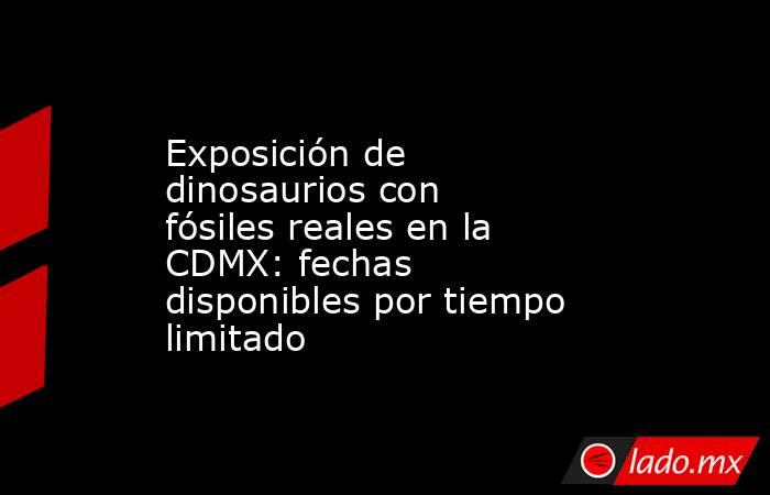 Exposición de dinosaurios con fósiles reales en la CDMX: fechas disponibles por tiempo limitado . Noticias en tiempo real
