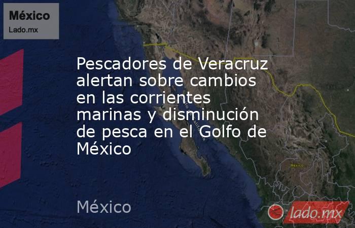 Pescadores de Veracruz alertan sobre cambios en las corrientes marinas y disminución de pesca en el Golfo de México. Noticias en tiempo real