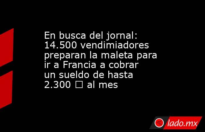 En busca del jornal: 14.500 vendimiadores preparan la maleta para ir a Francia a cobrar un sueldo de hasta 2.300 € al mes . Noticias en tiempo real