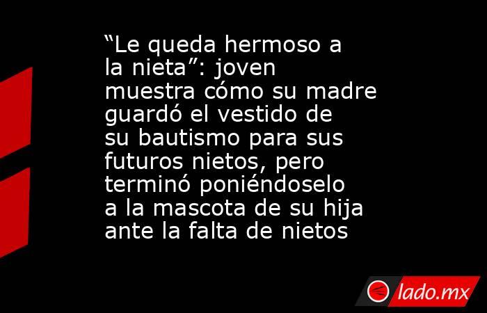 “Le queda hermoso a la nieta”: joven muestra cómo su madre guardó el vestido de su bautismo para sus futuros nietos, pero terminó poniéndoselo a la mascota de su hija ante la falta de nietos . Noticias en tiempo real