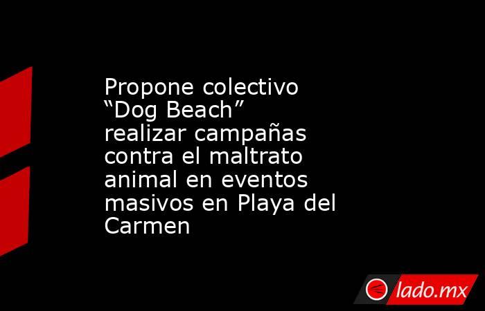 Propone colectivo “Dog Beach” realizar campañas contra el maltrato animal en eventos masivos en Playa del Carmen. Noticias en tiempo real