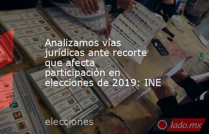 Analizamos vías jurídicas ante recorte que afecta participación en elecciones de 2019: INE. Noticias en tiempo real