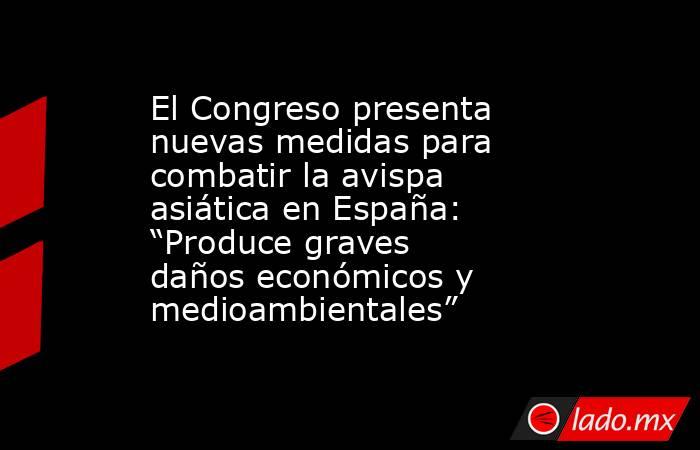 El Congreso presenta nuevas medidas para combatir la avispa asiática en España: “Produce graves daños económicos y medioambientales”. Noticias en tiempo real