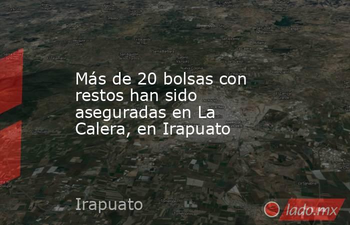 Más de 20 bolsas con restos han sido aseguradas en La Calera, en Irapuato. Noticias en tiempo real