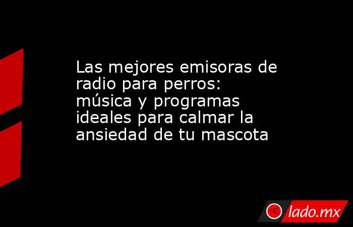 Las mejores emisoras de radio para perros: música y programas ideales para calmar la ansiedad de tu mascota. Noticias en tiempo real