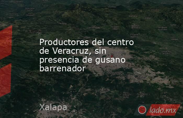 Productores del centro de Veracruz, sin presencia de gusano barrenador. Noticias en tiempo real