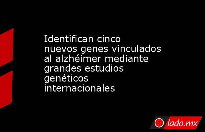 Identifican cinco nuevos genes vinculados al alzhéimer mediante grandes estudios genéticos internacionales. Noticias en tiempo real