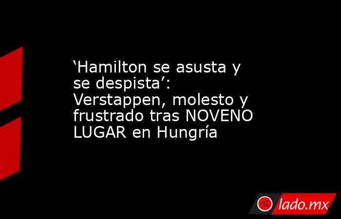 ‘Hamilton se asusta y se despista’: Verstappen, molesto y frustrado tras NOVENO LUGAR en Hungría. Noticias en tiempo real